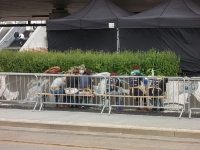 3 czerwca 2013 - dzień trzeci