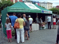 stoiska zaprzyjaźnionych organizacji