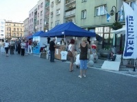 Swieto Granitu Strzegomskiego