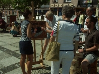 Swieto Granitu Strzegomskiego