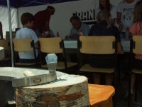 Swieto Granitu Strzegomskiego