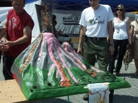 Swieto Granitu Strzegomskiego