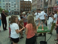 Swieto Granitu Strzegomskiego