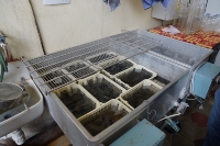 Zjazd ZPBK - maj 2014